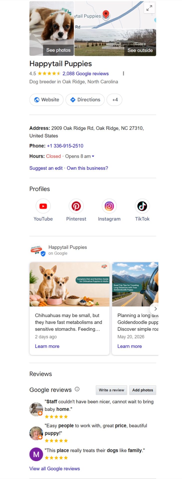 Happy Tail Puppies social media growth results by Inventive Media